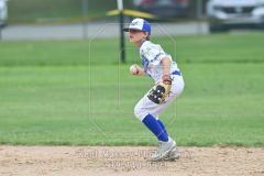 SJBA-26-3183